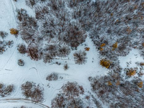 Aerial photograph showcasing a serene snow-covered forest landscape in winter.