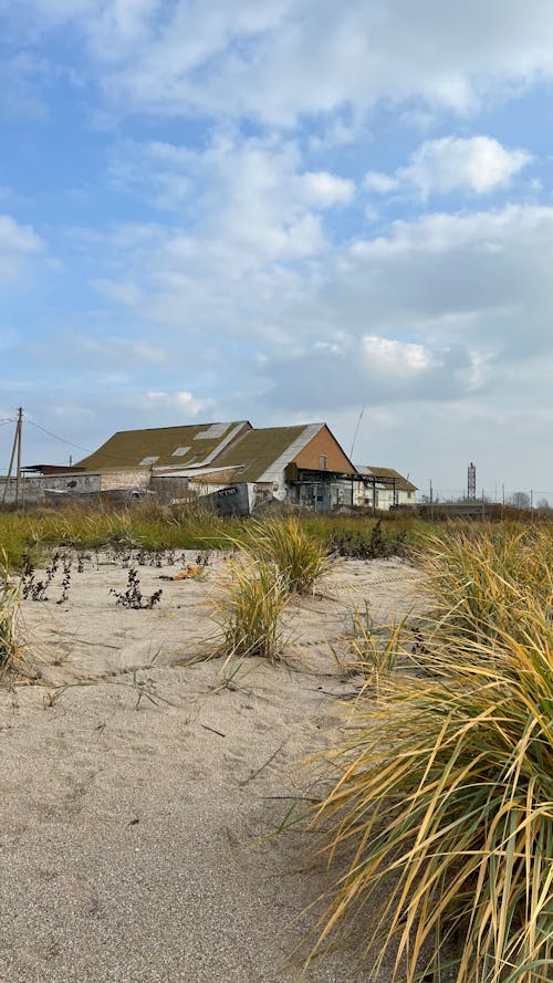 Gratis lagerfoto af over havet