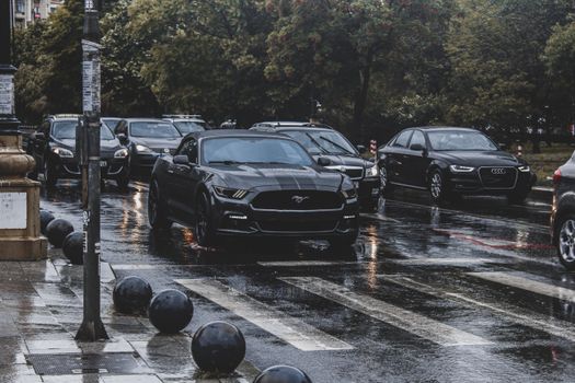 Black Mustang amidst traffic on rainy street, highlighting urban vibe.