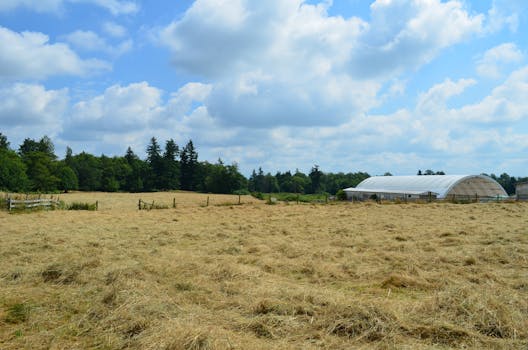Serene rural landscape featuring a hayfield and barn under a cloudy sky in Langley, BC.