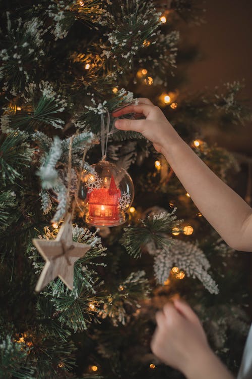 Бесплатное стоковое фото с вертикальный выстрел, декорации, рождественская елка