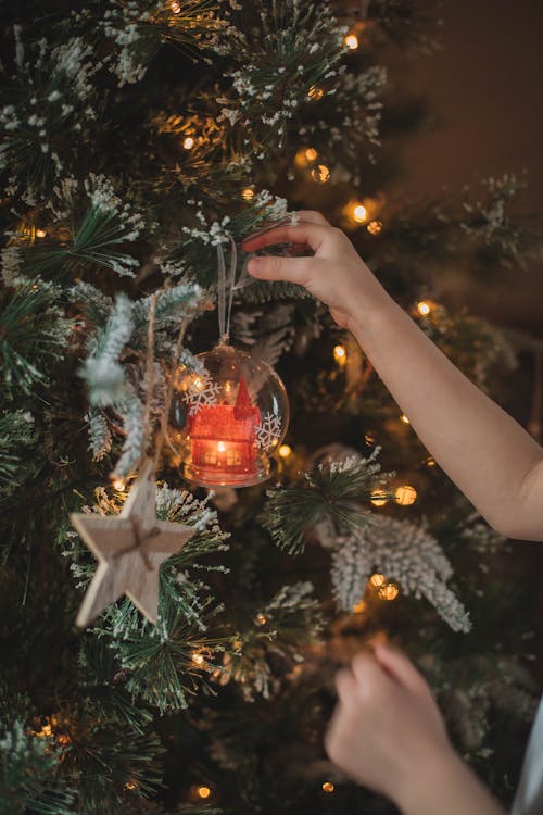 Photos gratuites de arbre de noël, décorations, mains