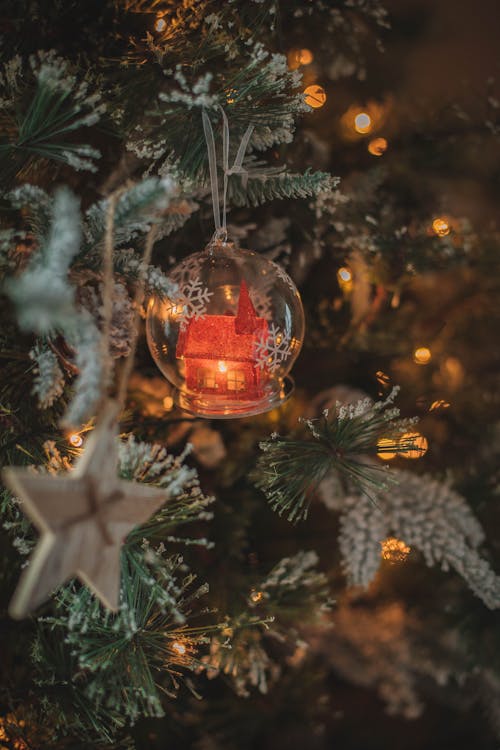 Hanging Decorations on a Christmas Tree