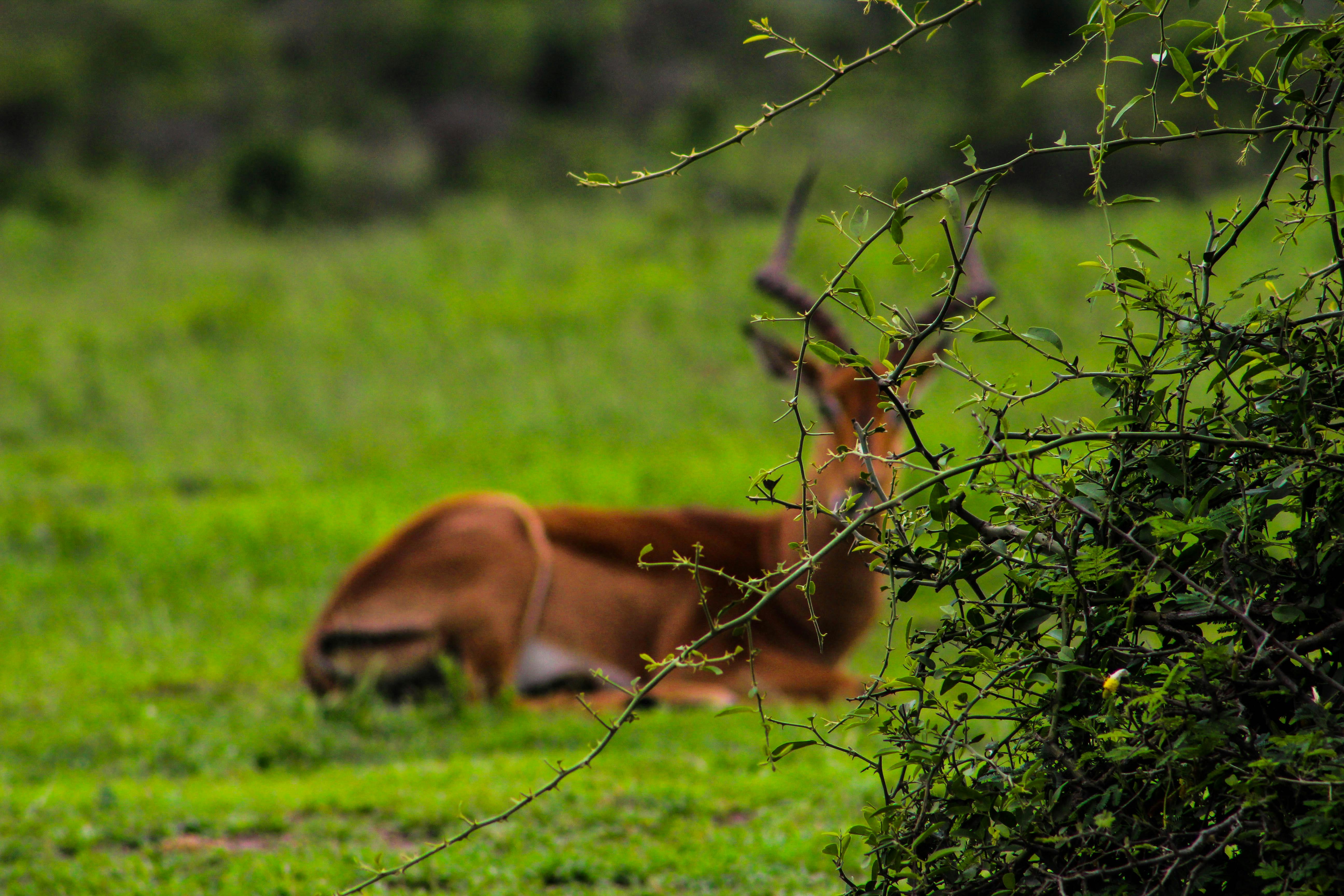 Colorful Finnish design products