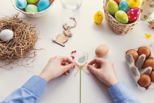 Person Tying Knot on Chicken Decor