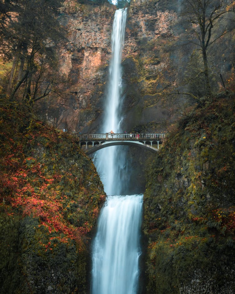 People At The Benson Bridge Looking At The Multnomah Falls