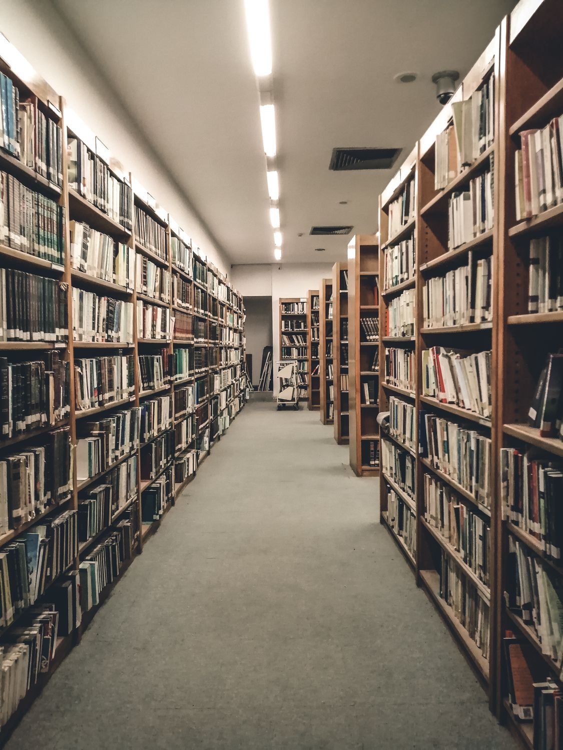 Library Shelves Stacked with Books · Free Stock Photo