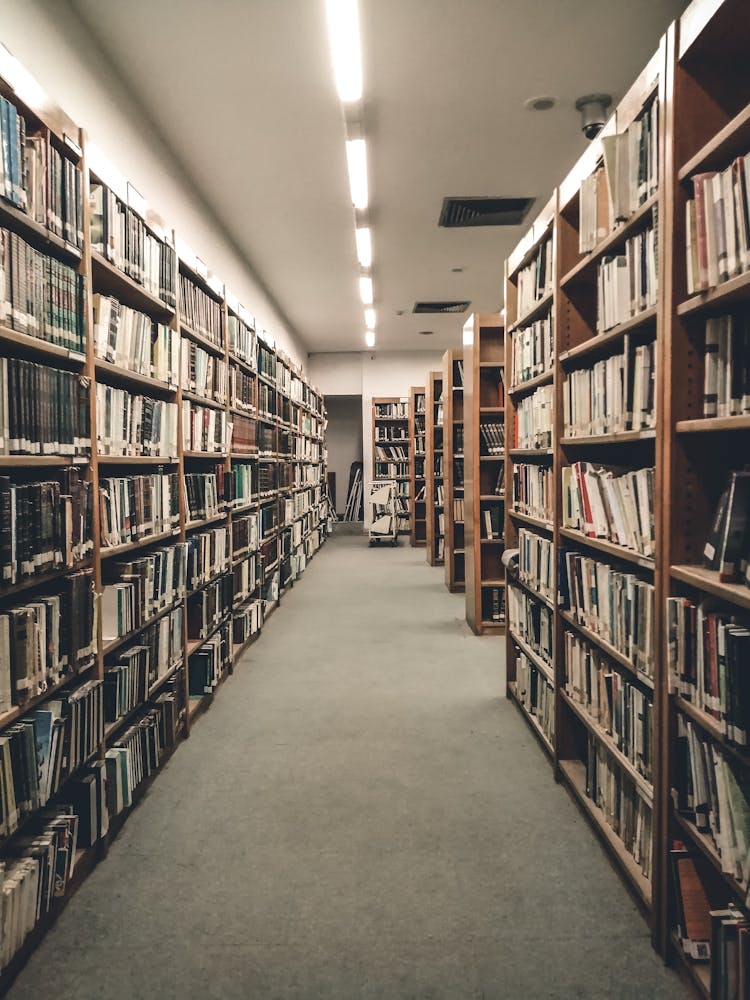 Library Shelves Stacked With Books