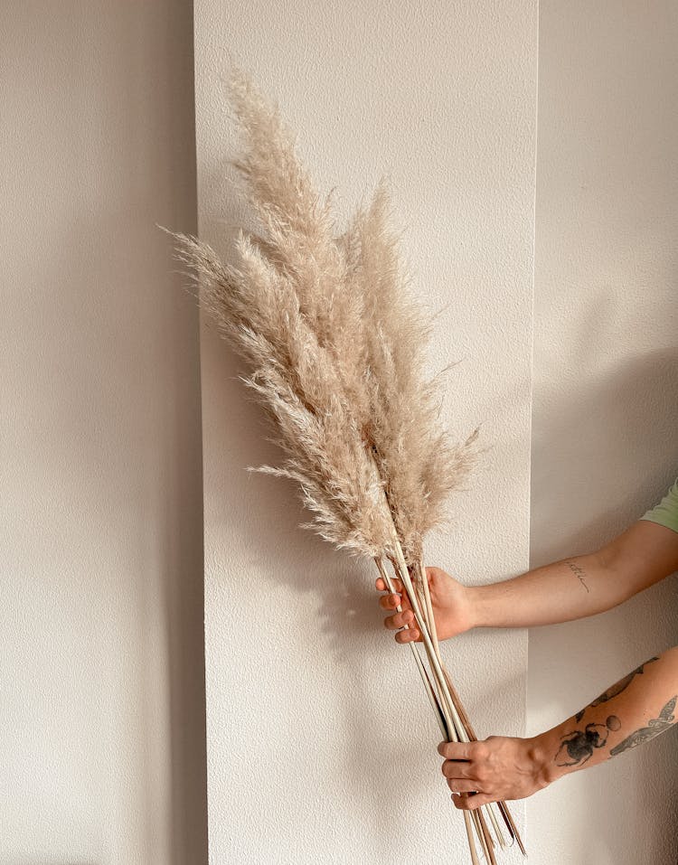 Hands Holding Pampas Grass