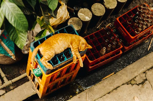 Gratis stockfoto met bergen, containers, dozen