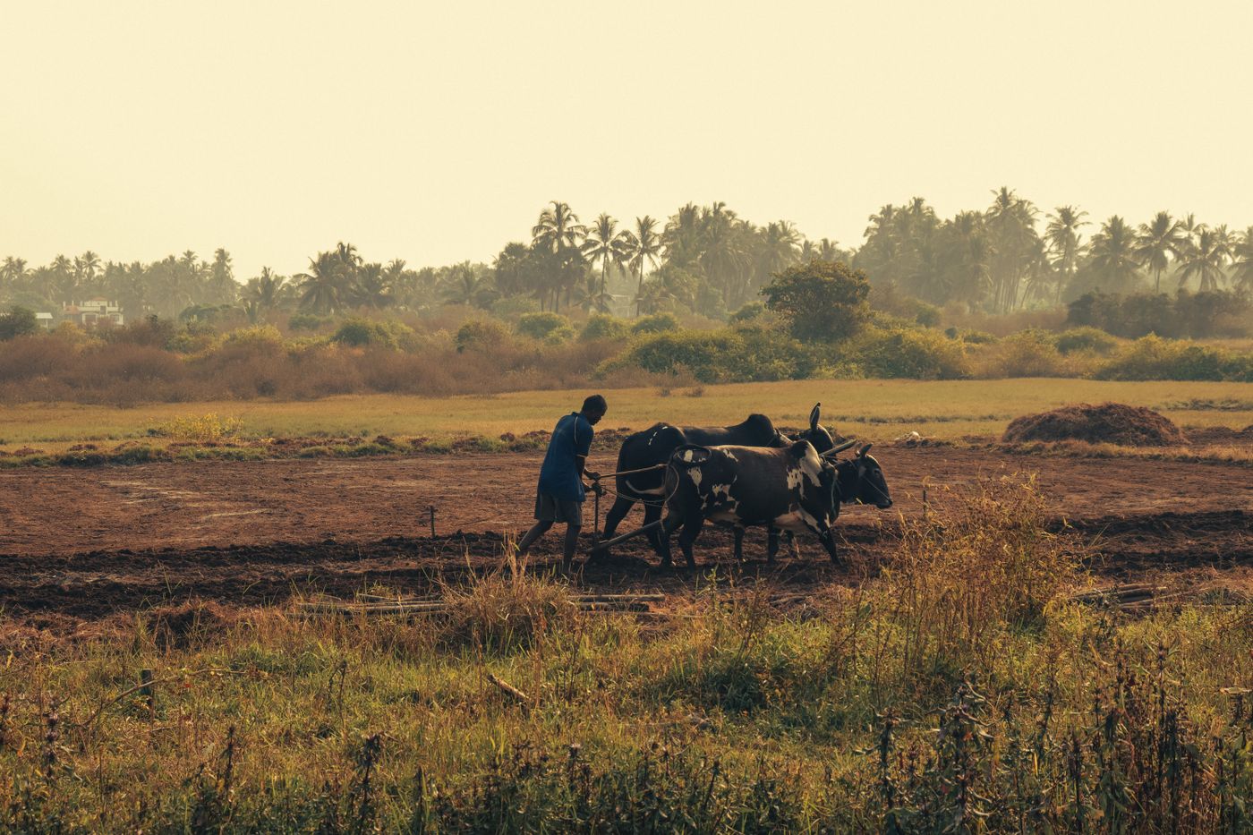 African farmer working the land — East Africa agribusiness and rural technology