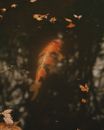 Gold Fish in black Strips Underwater