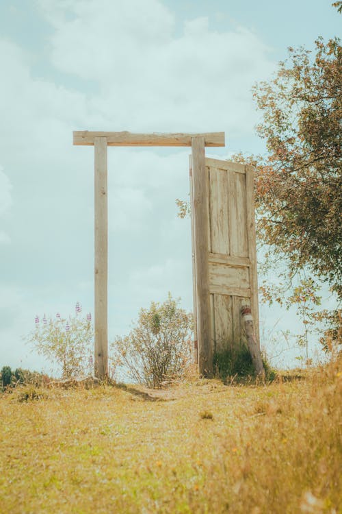 A Wooden Door on a Green Grass Field