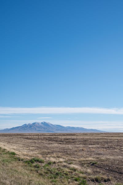 Genuine Leather Belt