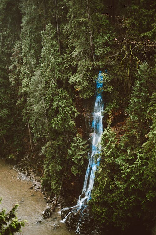 Waterfall in Forest