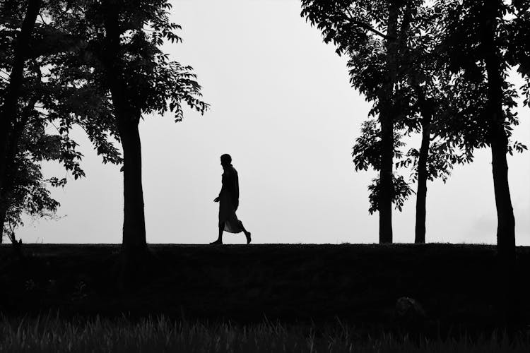 Silhouette Of Man Walking On Grass Near Trees