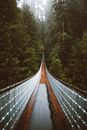 Hanging Footbridge Stretched Among Tree Tops of Conifer Forest