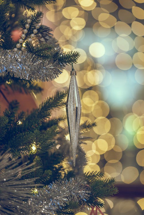 Photos gratuites de arbre de noël, arrière-plan flou, bokeh