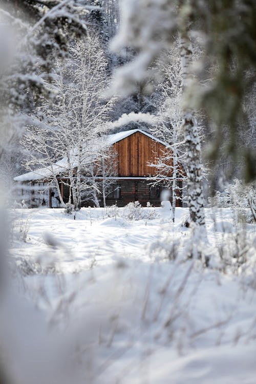 Brown Wooden House Covered With Snow