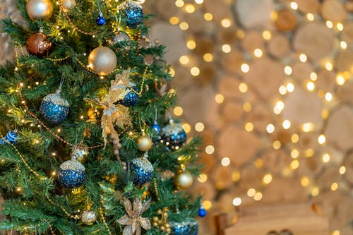 免費 掛, 耶誔球飾品, 聖誕樹 的 免費圖庫相片 圖庫相片