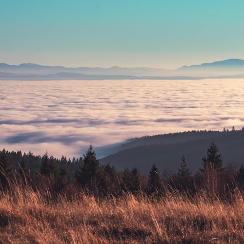 Silhouette of Mountains and a Sea of Clouds