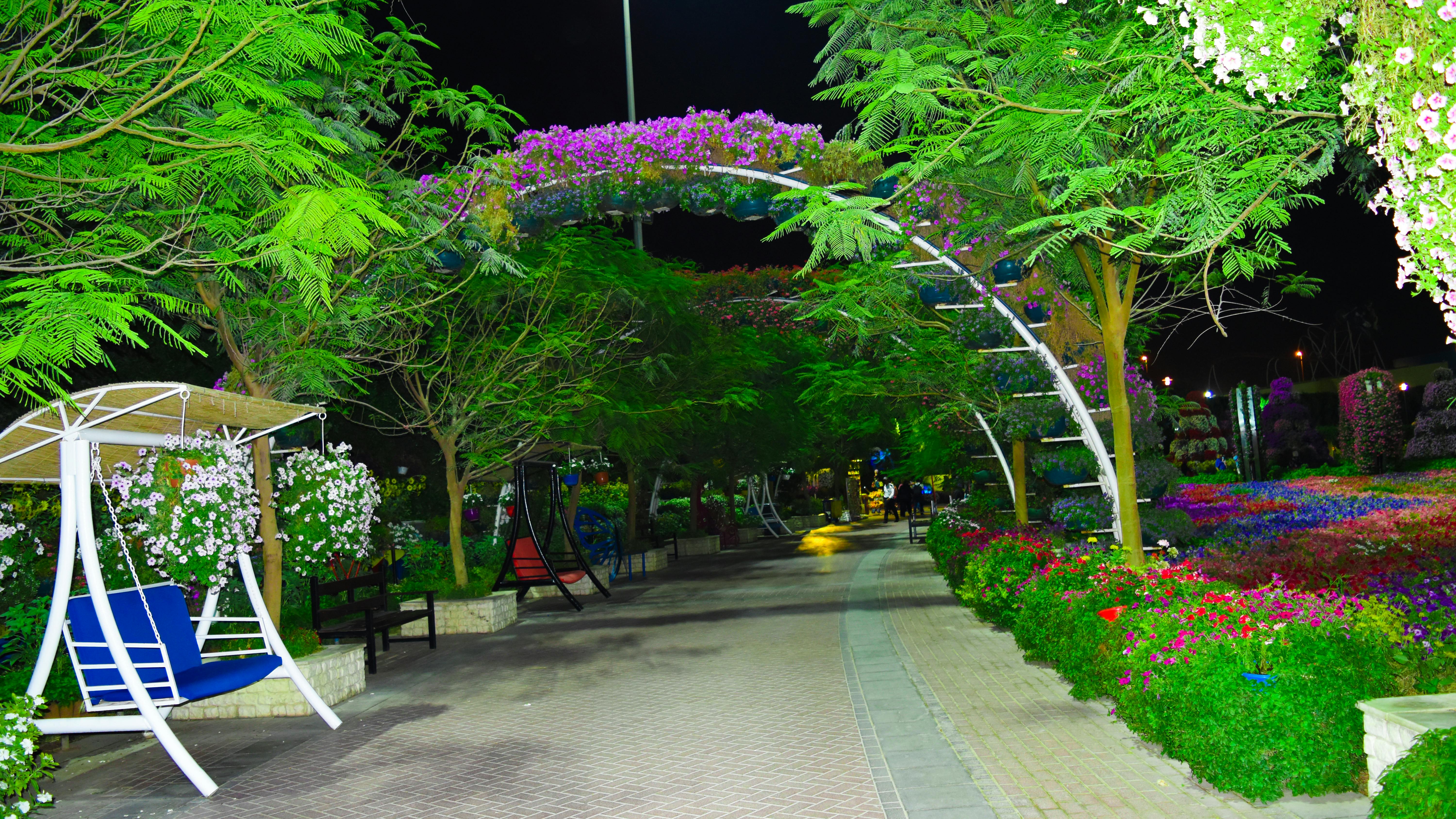 Free Stock Photo Of Dubai Flower Garden Miracal Garden