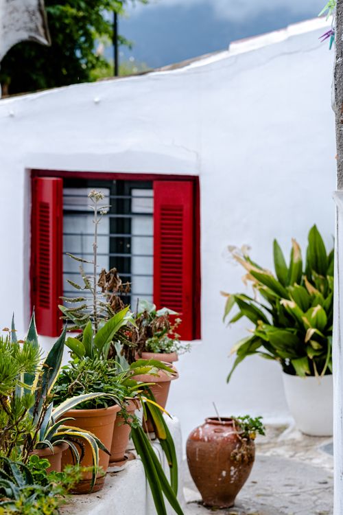 Free A picturesque outdoor patio featuring red shutters, vibrant plants, and a white wall. Stock Photo