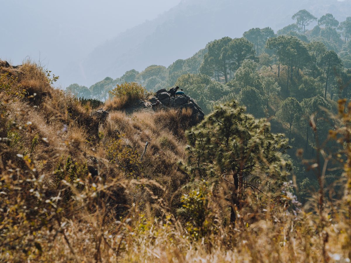 8 Day 100 Hour Yoga Teacher Training in Rishikesh 1