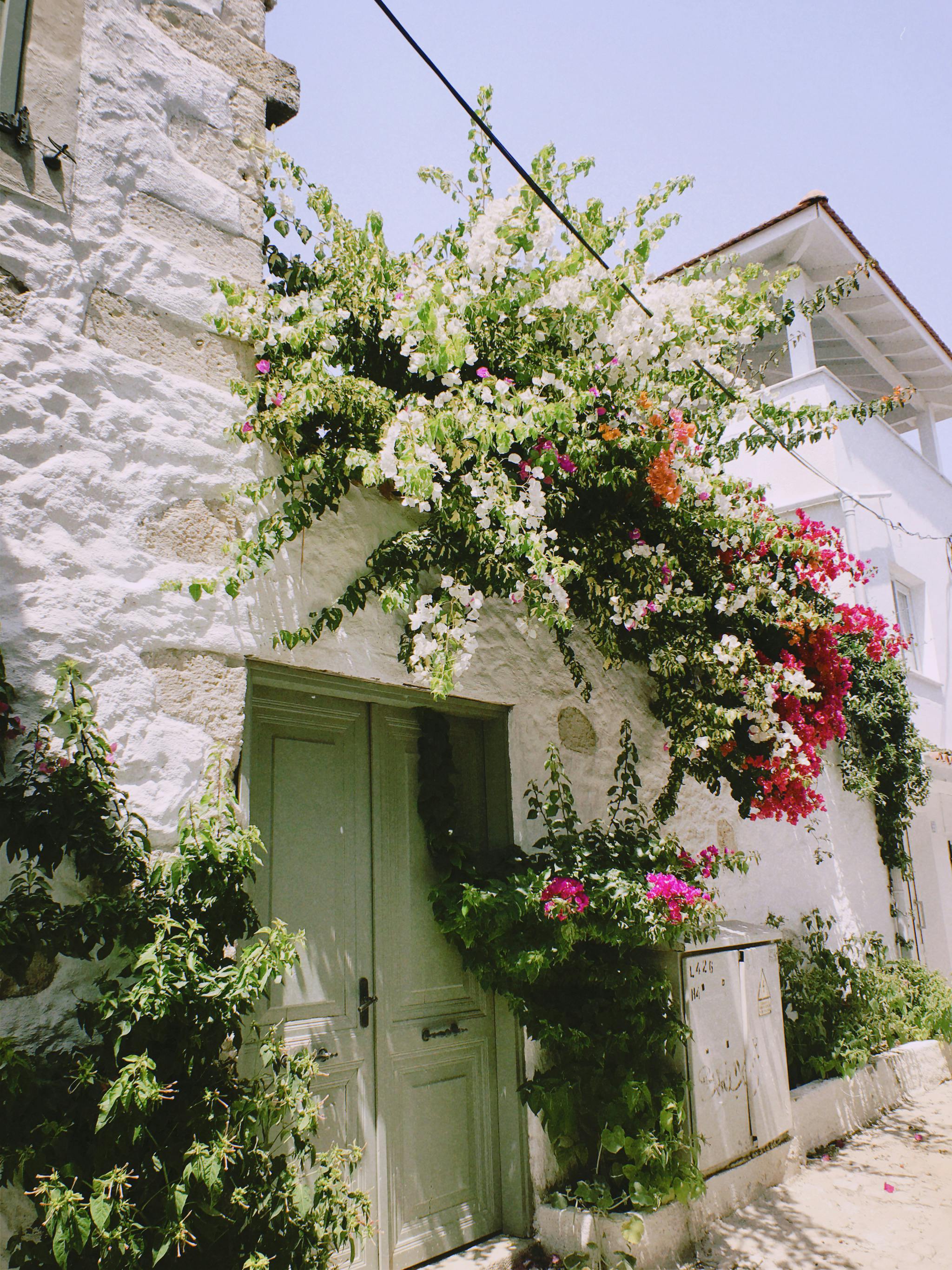 Bright flowers cascade over a stone building creating a charming entrance with vibrant blooms.