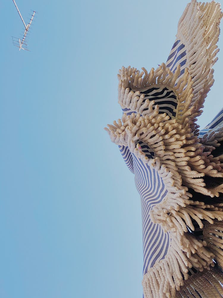 Low Angle Shot Of Fabric Against Sky