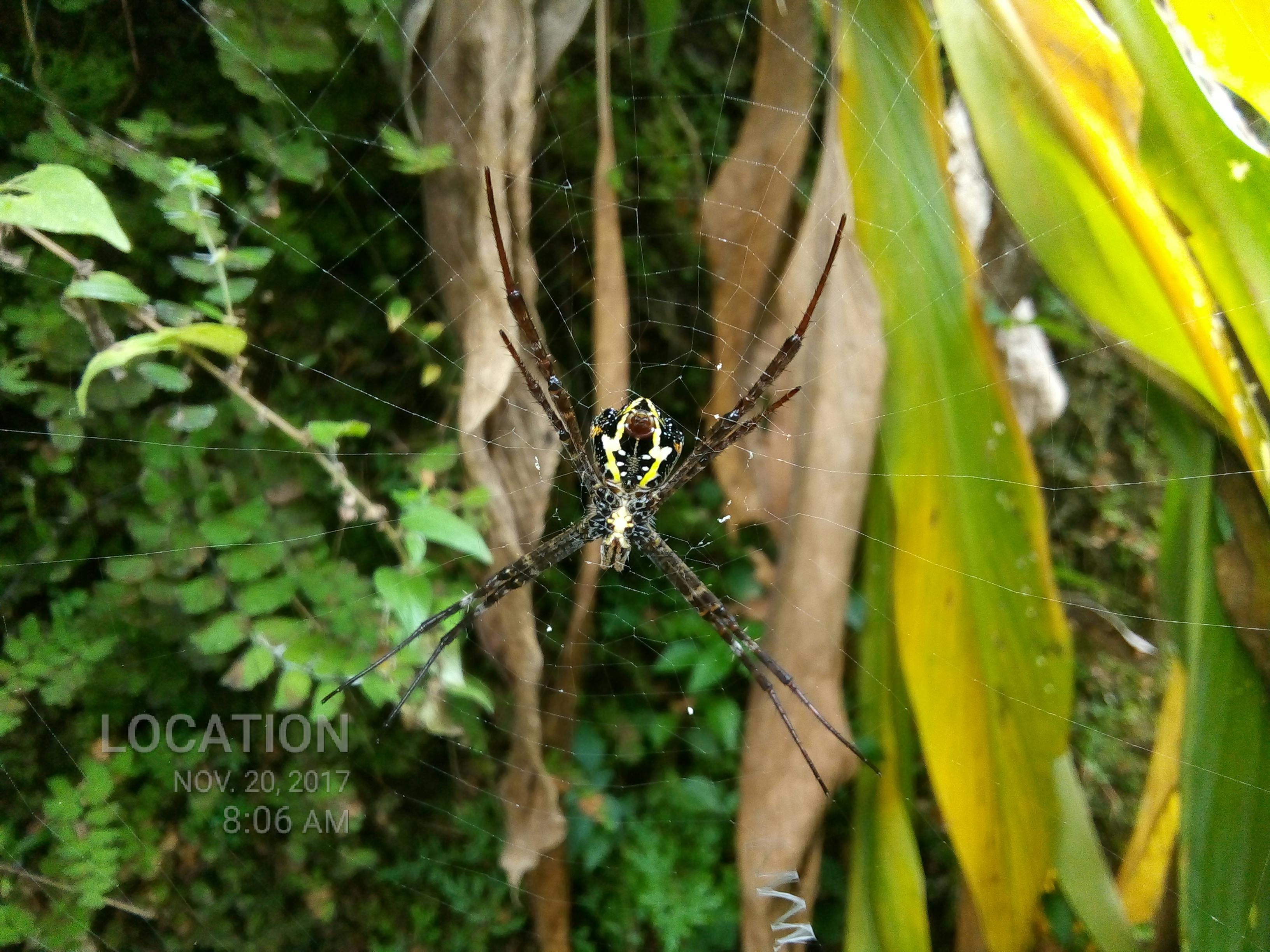 Happy landlord and tenant shaking hands