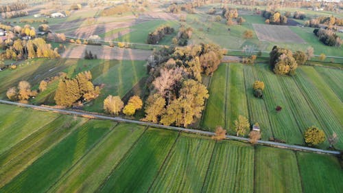 Aerial Shot of an Agricultural Land