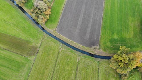 Immagine gratuita di agricoltura, alberi, ambiente