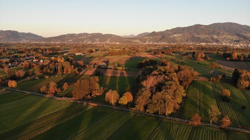 Immagine gratuita di alberi, campagna, catena montuosa