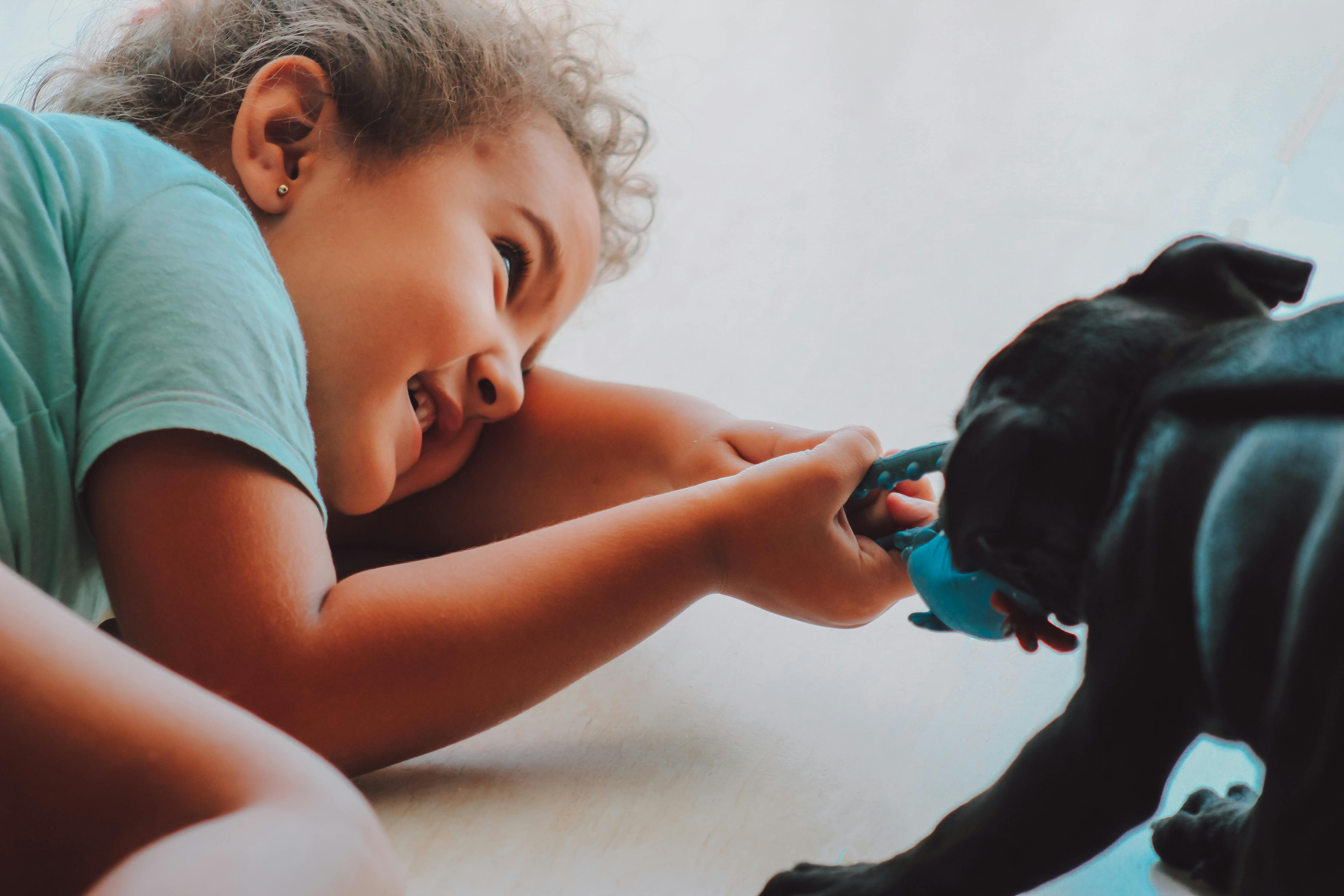 girl playing with a puppy