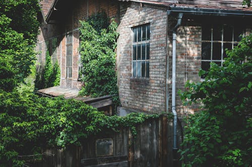 бесплатная Серый бетонный дом возле зеленых деревьев Стоковое фото