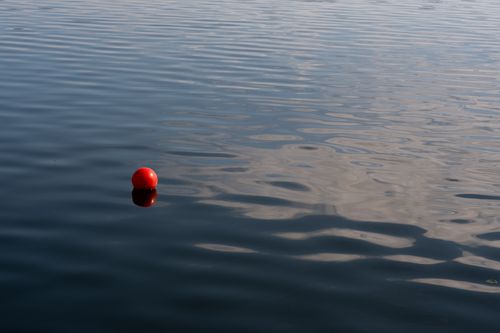 Free A lone red buoy floats on a calm lake, creating a serene and peaceful scene. Stock Photo