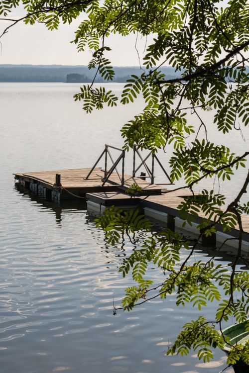 Free Peaceful lakeside pier with lush greenery overhead, perfect for relaxation and nature appreciation. Stock Photo