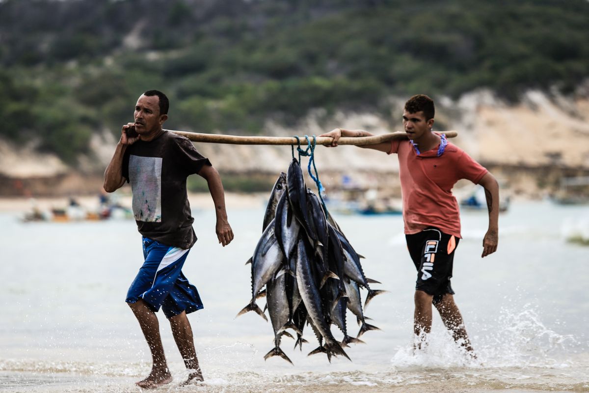 Fishermen carrying a fresh tuna catch on the beach