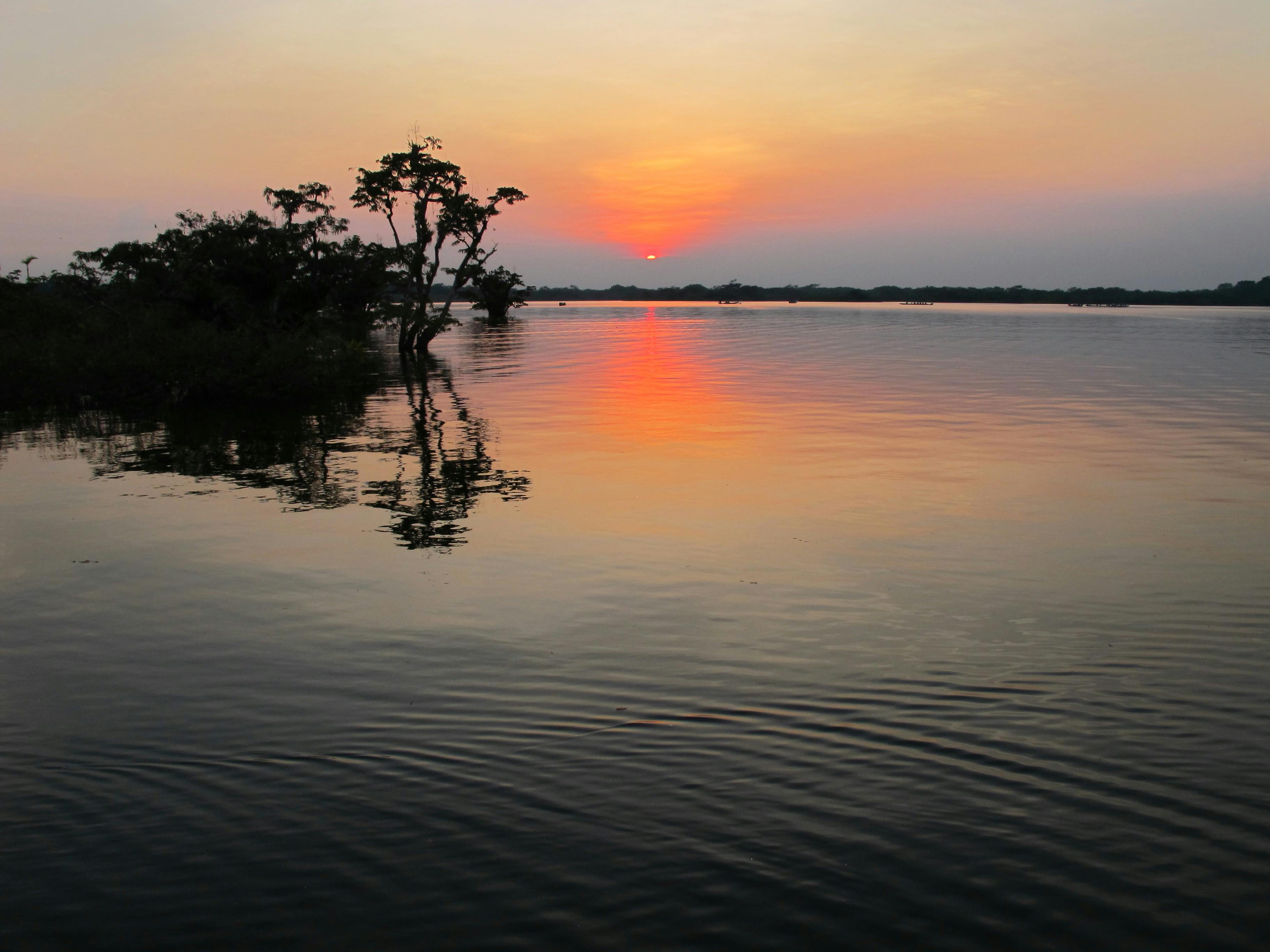 Free stock photo of amazon, ecuador, sunset