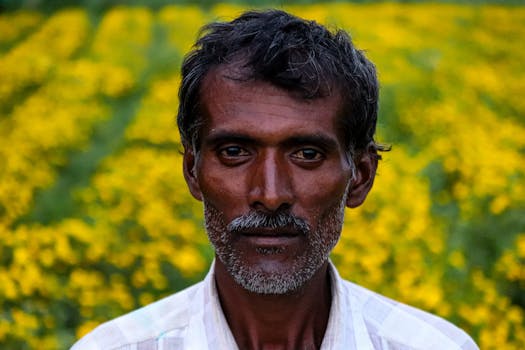 Close-up portrait of a senior Indian man in a vibrant yellow flower field in Mandya, India.