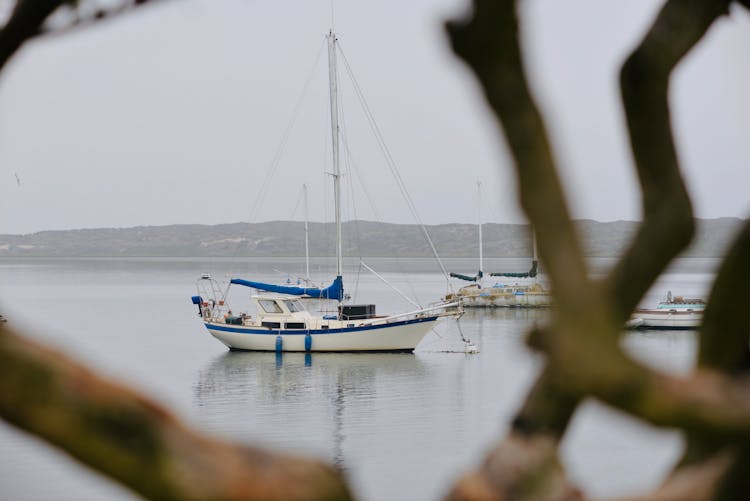 A Sailboat On A Lake