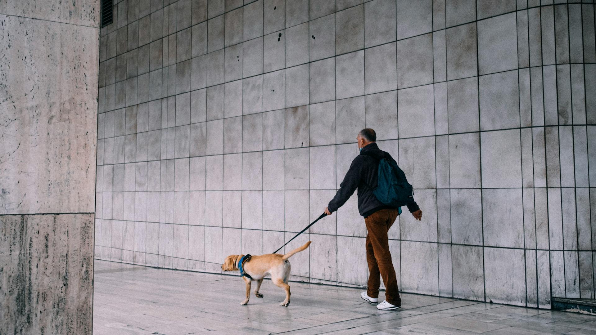 Man Walking His Dog in City