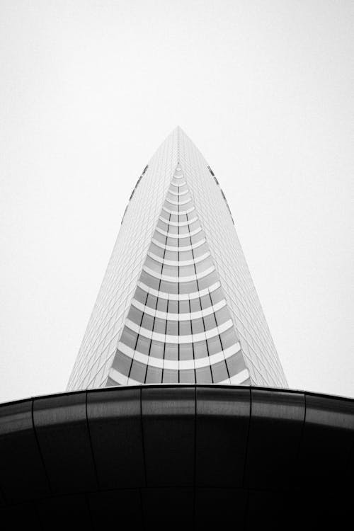 Low Angle Shot of a Architectural Building