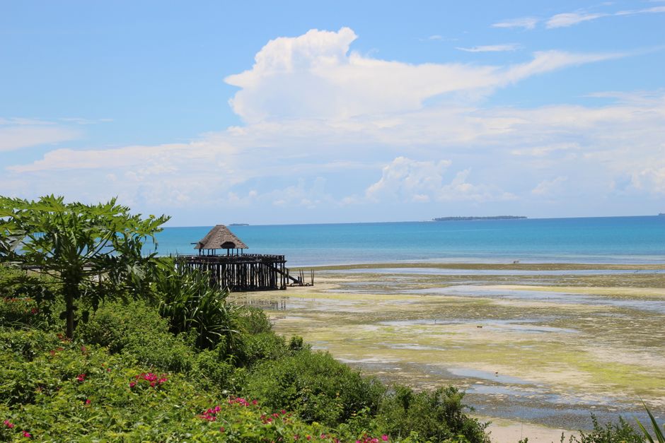Fotos de Zanzibar, Tanzania