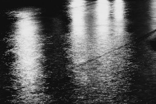 Immagine gratuita di acqua, alluvione, bianco e nero