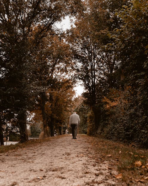 Man Walking on Unpaved Pathway