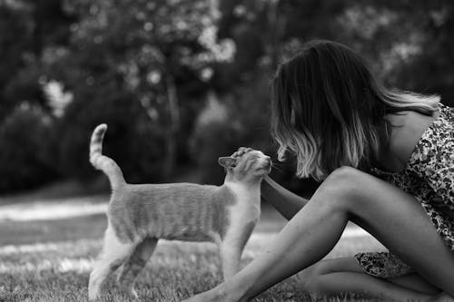 Woman Petting a Cat