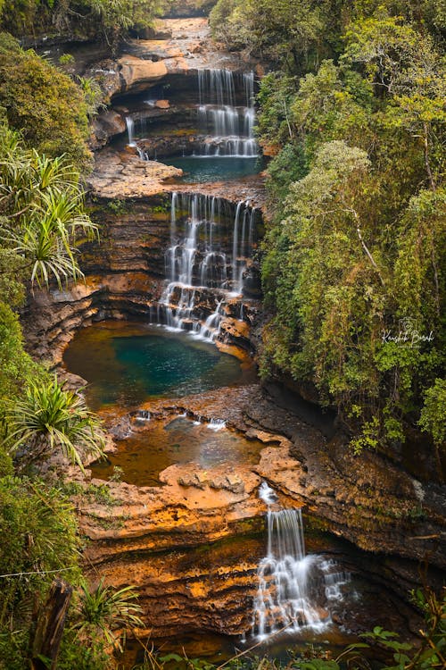 Бесплатное стоковое фото с водопад, дерево, красота в природе