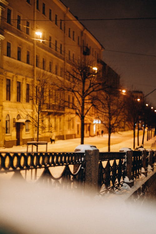 Fotobanka s bezplatnými fotkami na tému betónová budova, bezlisté stromy, kovové zábradlia